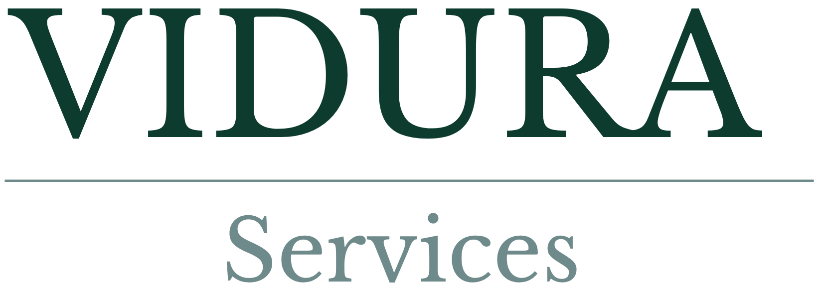 Vidura Services